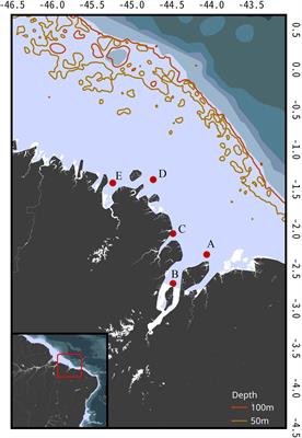 Habitat Use Patterns and Identification of Essential Habitat for an Endangered Coastal Shark With Vertebrae Microchemistry: The Case Study of Carcharhinus porosus